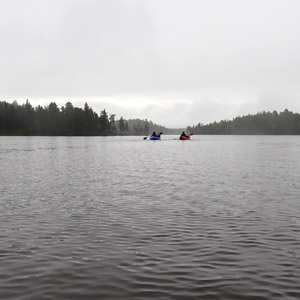 Pasvik 2025