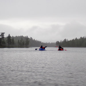 Pasvik 2025