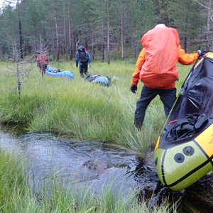 Pasvik 2025