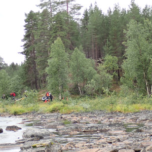 Pasvik 2025