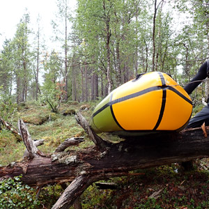 Pasvik 2025