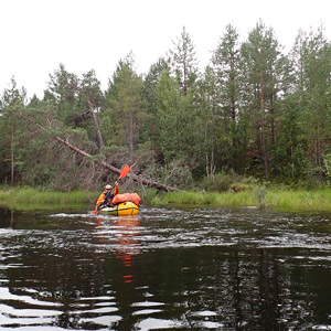 Pasvik 2025