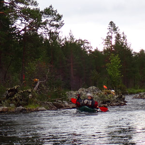 Pasvik 2025