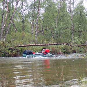 Pasvik 2025