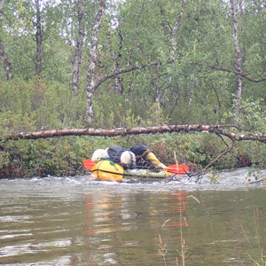 Pasvik 2025