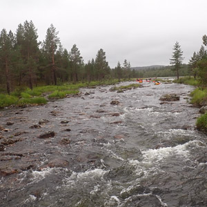 Pasvik 2025