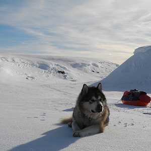 península de varanger