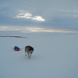 península de varanger