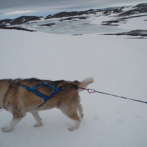 península de varanger