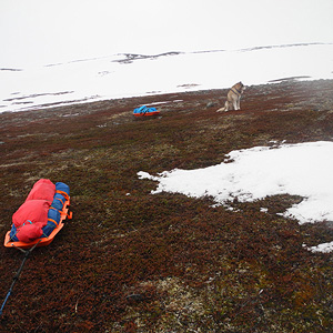 península de varanger