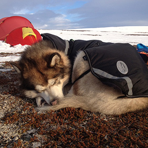 península de varanger