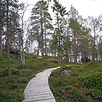 remando en el lago Inari