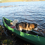 remando en el lago Inari