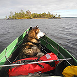 remando en el lago Inari