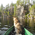 remando en el lago Inari