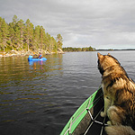 remando en el lago Inari