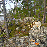 remando en el lago Inari