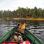 remando en el lago Inari