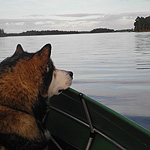 remando en el lago Inari