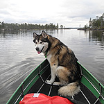 remando en el lago Inari