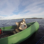 remando en el lago Inari