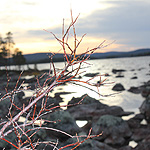 remando en el lago Inari