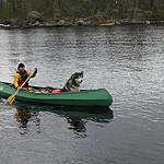 remando en el lago Inari