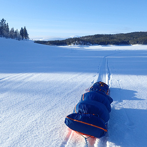 Skoganvarre a Levajok