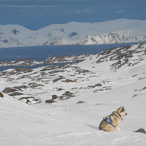 SØRØYA PÅ LANGS