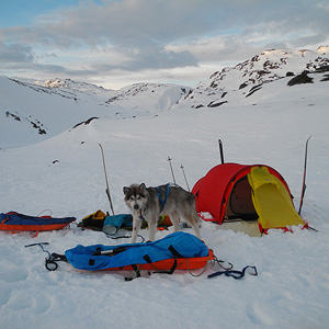 SØRØYA PÅ LANGS