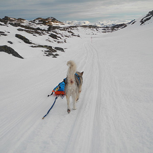 SØRØYA PÅ LANGS