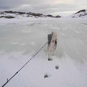 SØRØYA PÅ LANGS