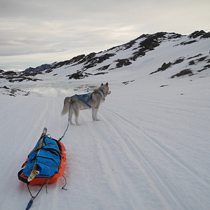 SØRØYA PÅ LANGS