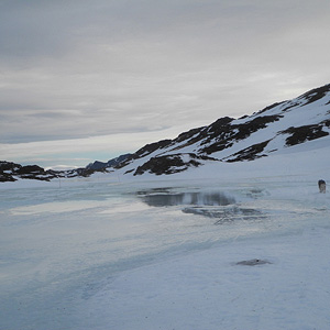 SØRØYA PÅ LANGS