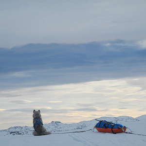 SØRØYA PÅ LANGS