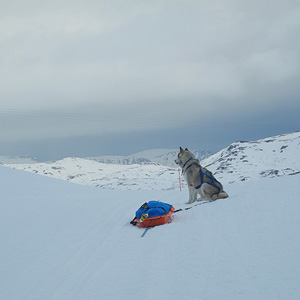 SØRØYA PÅ LANGS