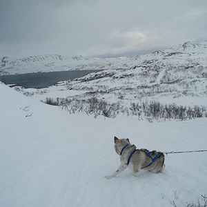 SØRØYA PÅ LANGS