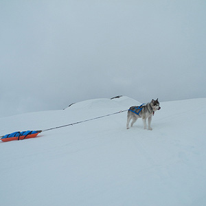 SØRØYA PÅ LANGS