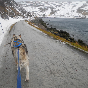 SØRØYA PÅ LANGS