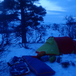 Stabbursdalen på langs