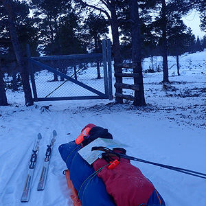 Stabbursdalen på langs