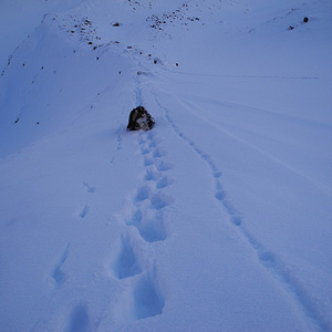 Travesía Circular Kebnekaise