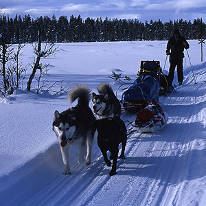 Travesía Kungsleden con esquis