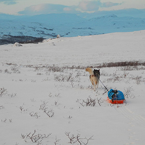 Travesía Padjelanta