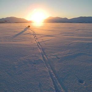 Travesía Padjelanta