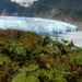 Hielo Patagónico Norte