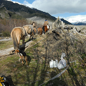 Hielo Patagónico Norte: este-oeste