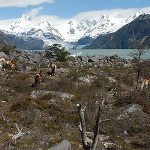 Hielo Patagónico Norte: este-oeste