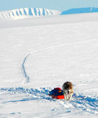 Monte Newton Svalbard