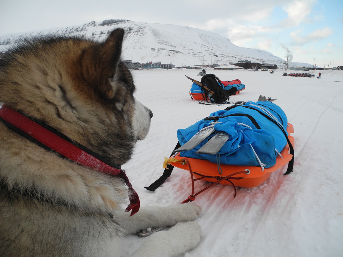 Monte Newton Svalbard